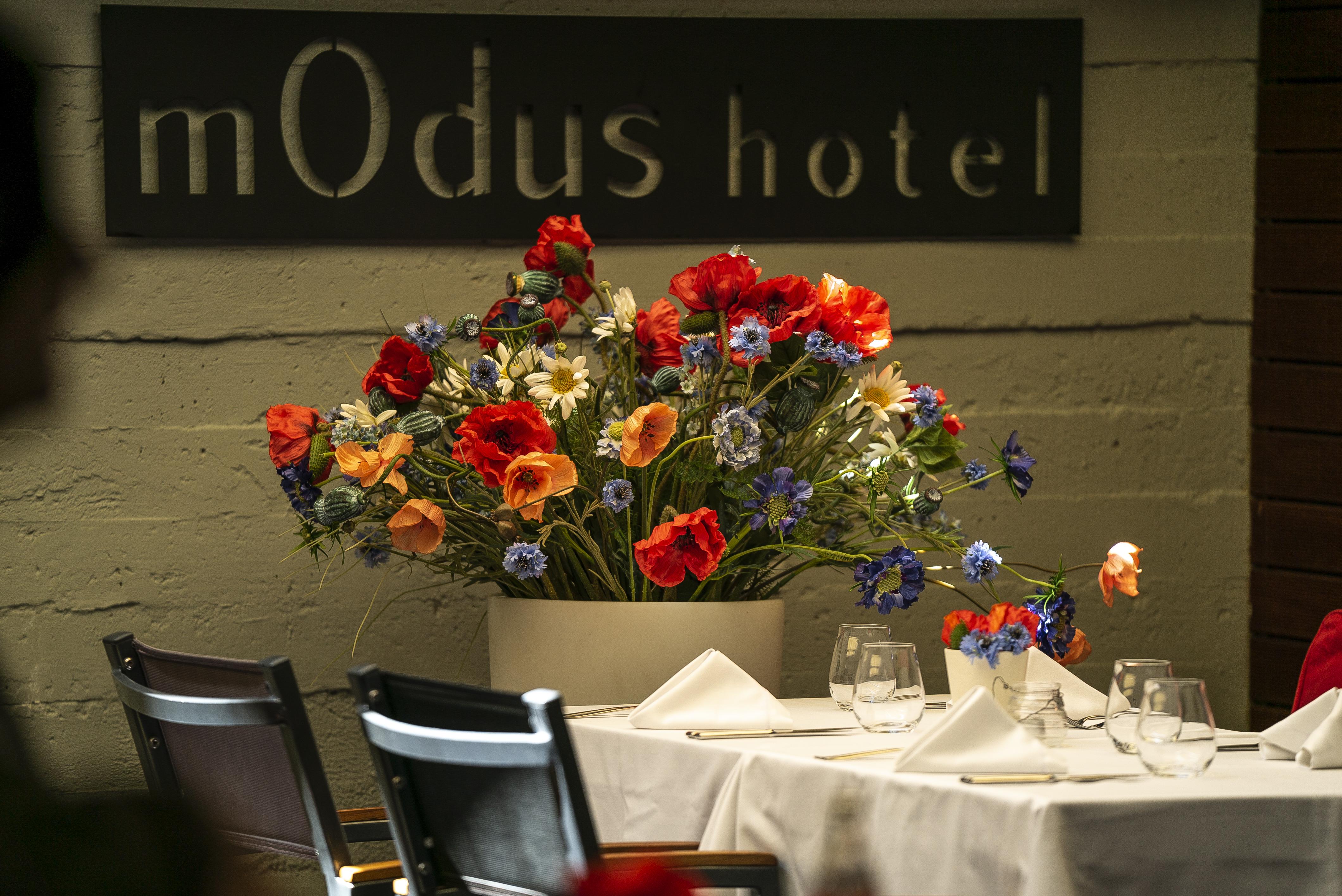 Modus Hotel Варна Екстер'єр фото